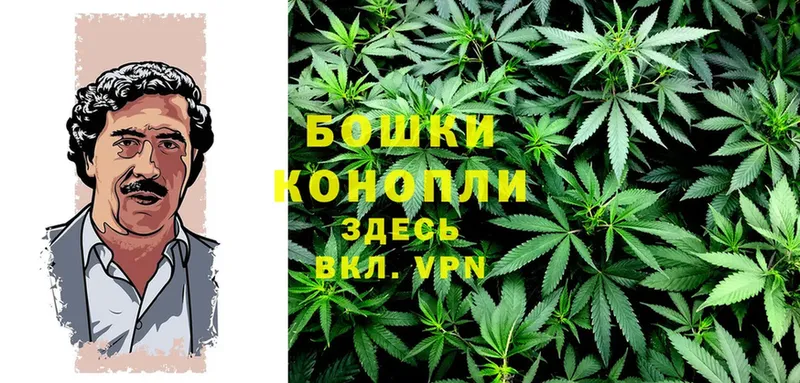 Бошки марихуана THC 21%  дарнет шоп  Ирбит 